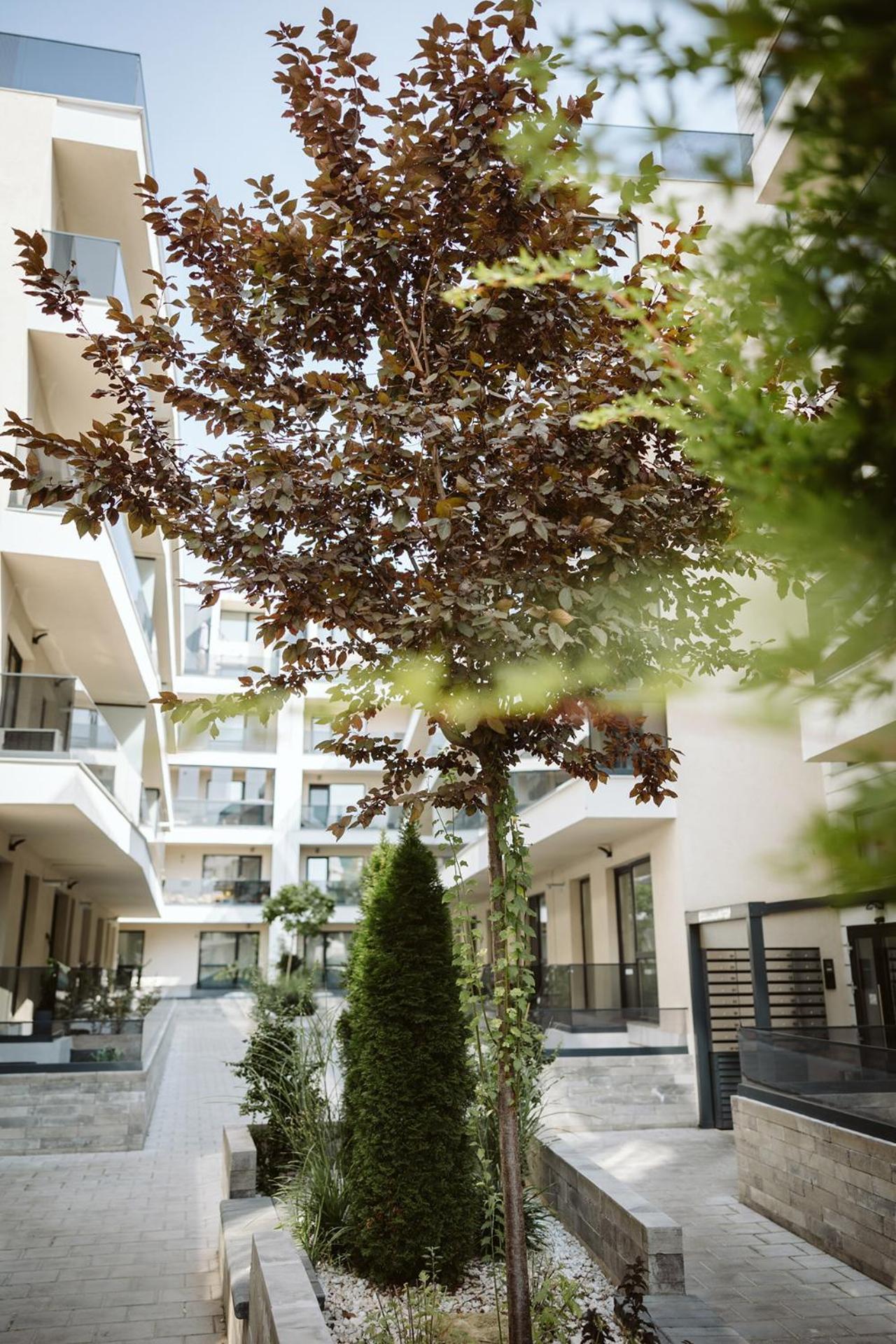 Dec Apartments Bukarest Kültér fotó